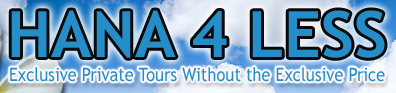 Hana Tours - hana4less.com